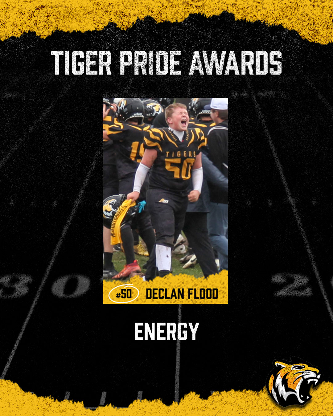 Declan Flood, Tiger Pride Award — Energy