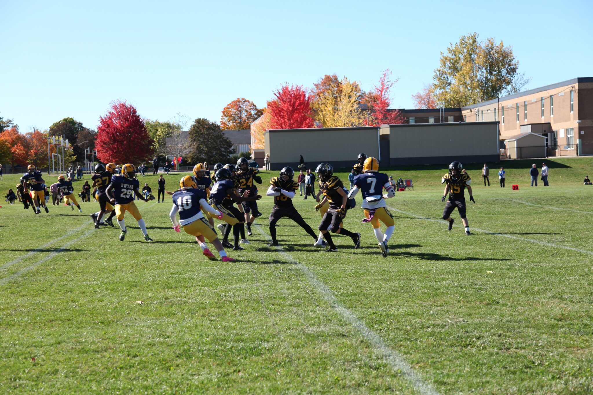 The Tigers offence runs a play against Dwyer