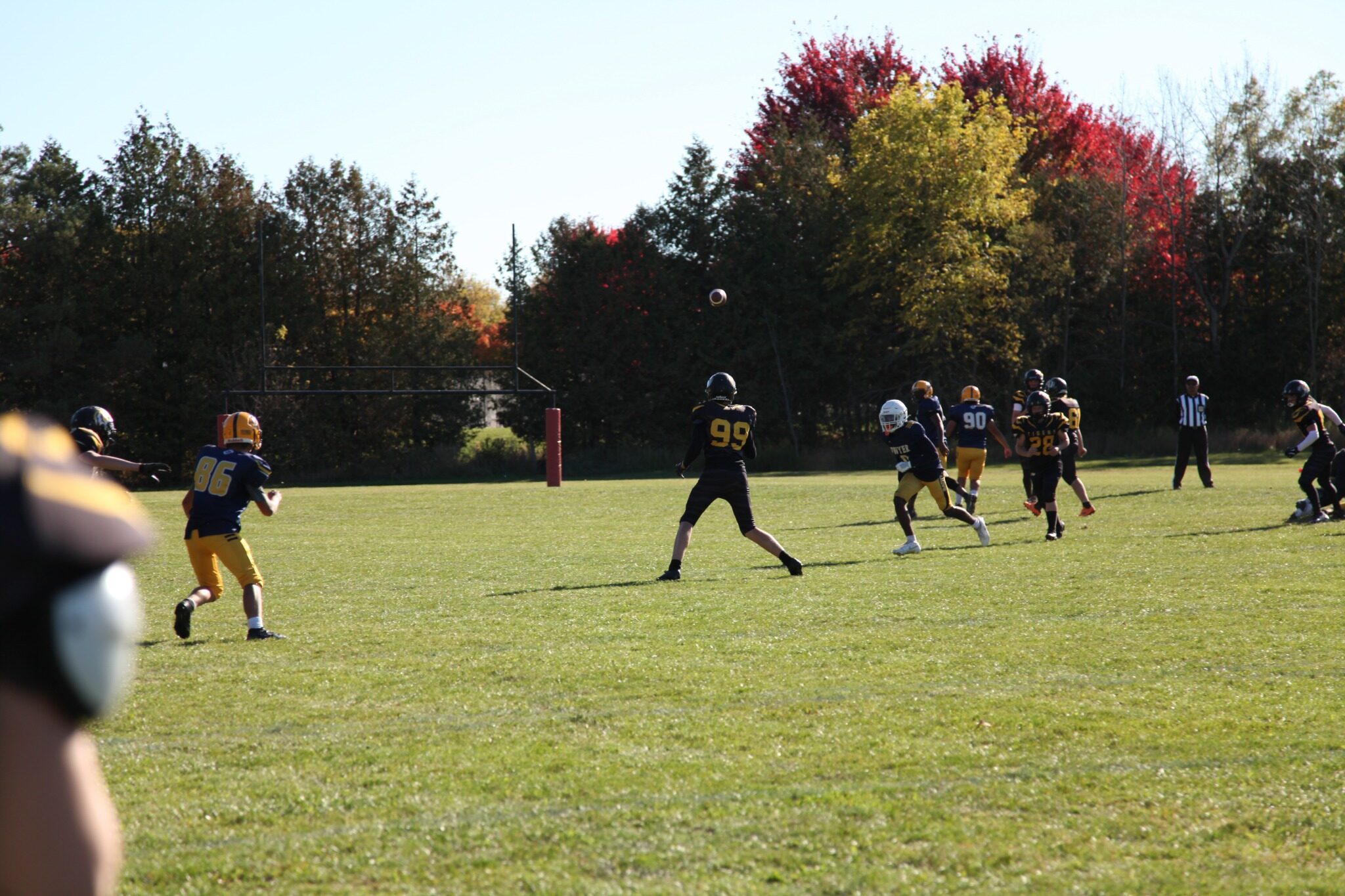 The Tigers kick during the Dwyer game