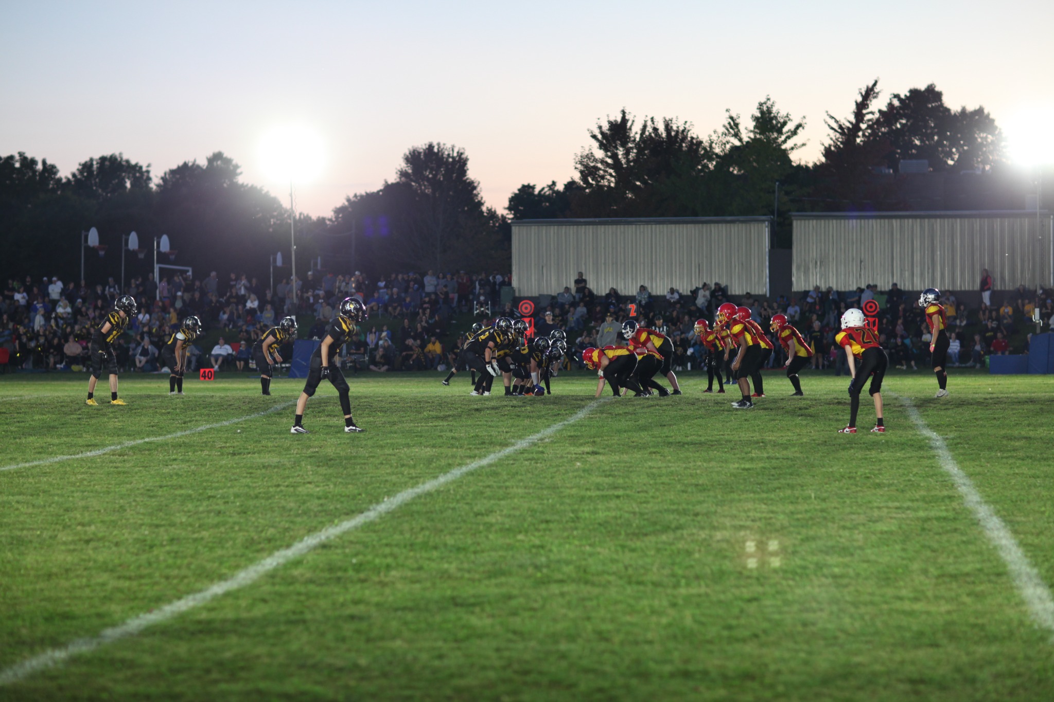 The Tigers offence takes the field at Homecoming