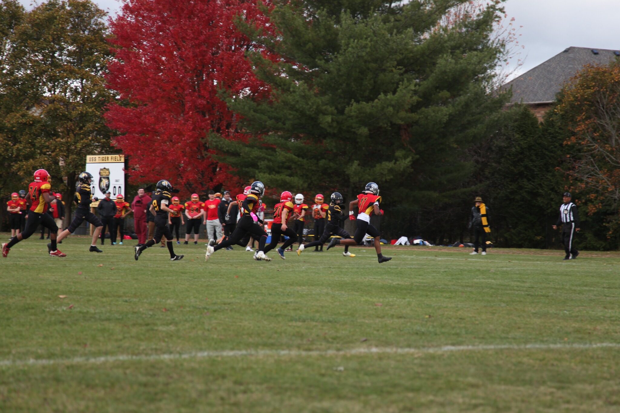 A Tigers receiver reaches for a pass