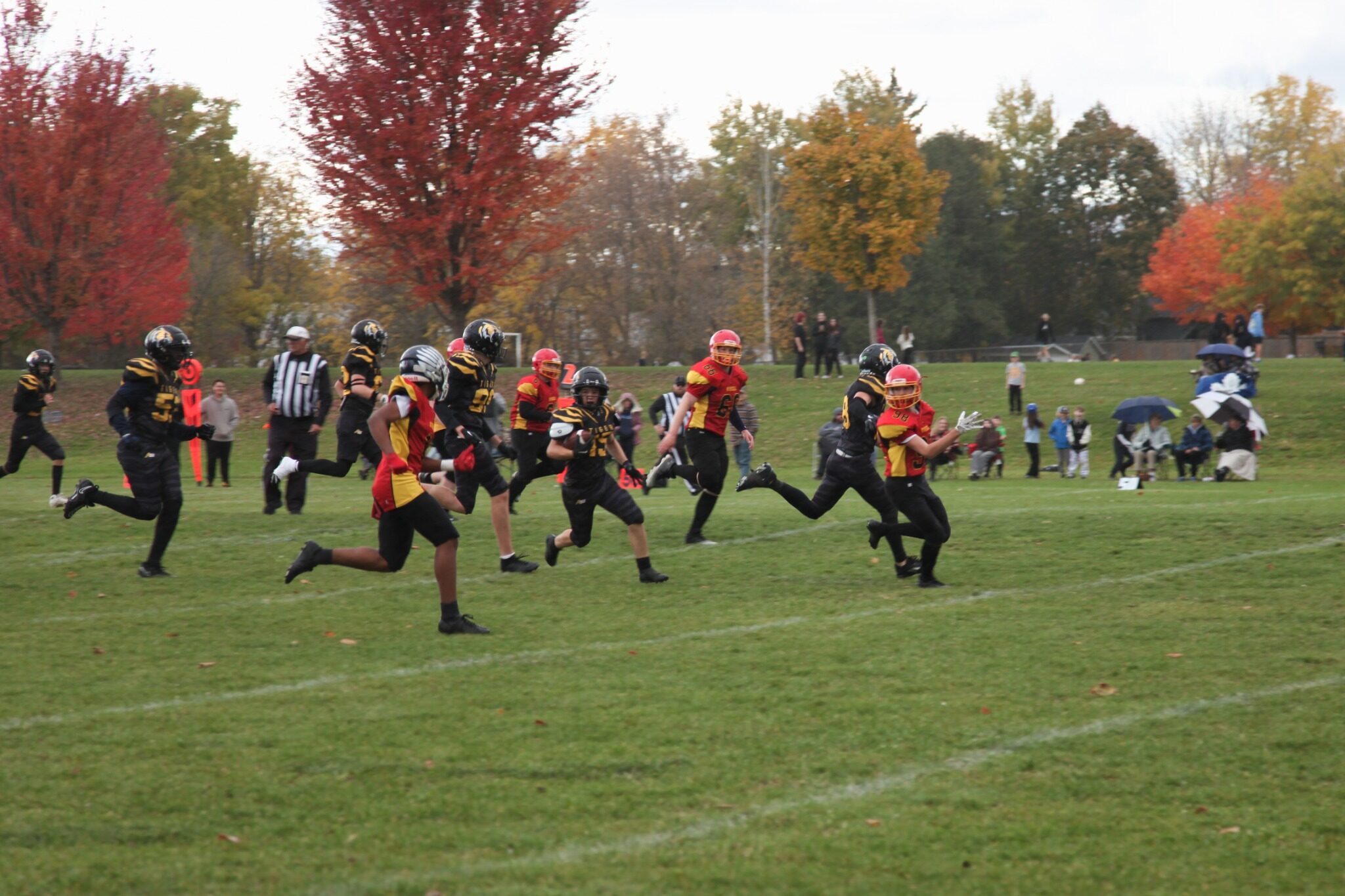 A Tigers runner races down the sideline
